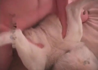 Zoophile and his Husky are enjoying bestiality sex