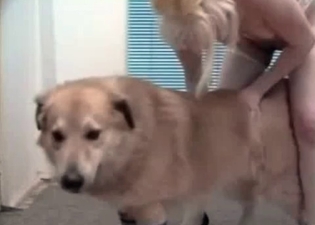 Lad doggy and a sexy beauty