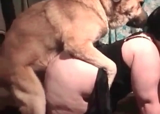 Juicy pussy drilled by a huge trained doggy
