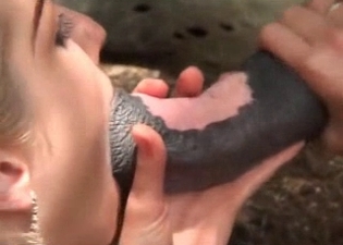 Woman gets creampied by her stallion