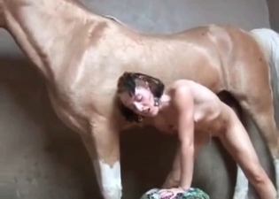 Horse enjoys brutal bestiality sex