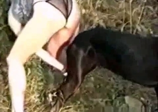 Outdoor animality XXX looks amazing