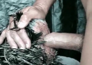 Zoophile drills his chicken from behind