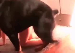 Hound knocks a demonic woman