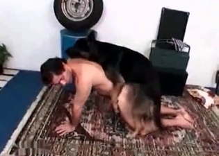 Male in the nastiest bestiality action