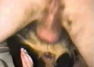 Hardcore homemade dog bestiality fuck