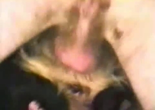 Hardcore homemade dog bestiality fuck