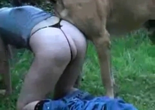 Outdoor dog bestiality with my sweet wife