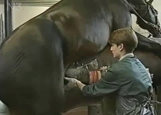 Amazing horse is all about that bestiality action