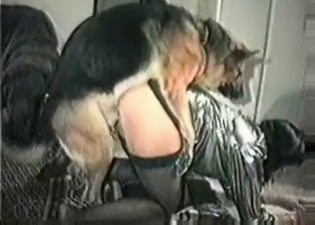 Slutty MILF is getting fucked by an animal