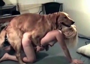 Fuckdoll with blonde hair is alone with a retriever