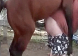 Stallion has a very nice and big bottom