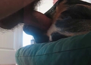 Excellent girlfriend pumped by doggy