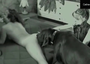 Threesome action with my lovely doggy