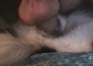 Pleasing my sexy pooch