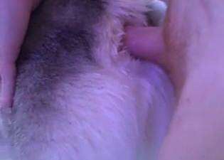 Husky likes dirty hardcore sex
