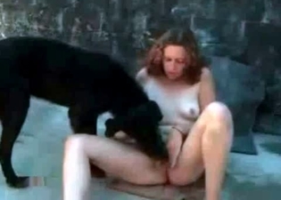 Black dog fucked my wife