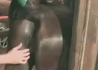 Pup penetrates an astounding harlot
