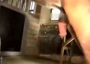 Horse nailed zoophile in stockings