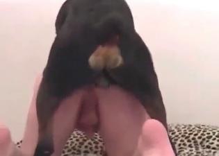 Good-Looking woman poked by mongrel