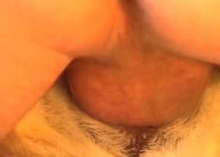 Hard dick for my lovely stray