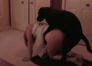Pooch knocks a remarkable whore