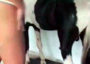 Horse and wife are enjoying each other