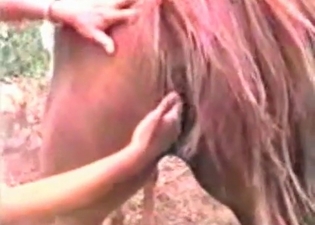 Zoophilic porn action with a stunning horse