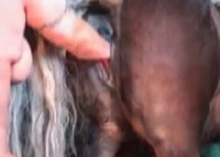 Farm zoophilia XXX looks amazingly sexy