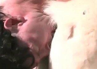 Cute horse likes filthy bestiality sex