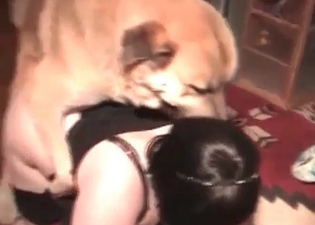 Juicy pussy drilled by a huge trained doggy