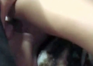 Dog enjoys nasty sex with a horny owner