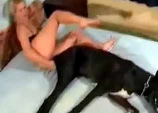 Puppy bangs a foxy wanton in her cunt