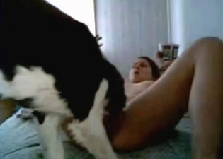 Busty young chick got licked by her dog