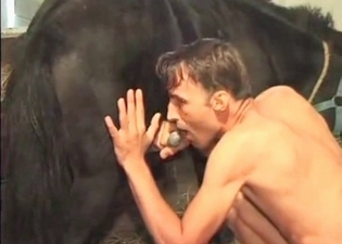 Lad is giving a handjob to an impressive stallion