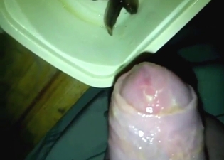 His foreskin now feels alive, it's a great time