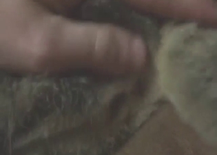 Dude is playing around with a cat pussy up close