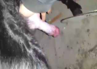 Dude wants to jerk the dog off with his sexy hands