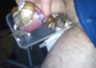 Avoid snail dominator is going to fuck them hard