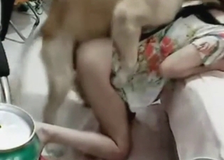 Webcam fuck with a Chinse girl and her dog