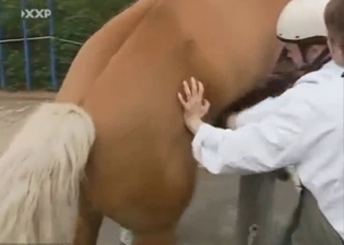 Horse is going to deliver that cum in a hot way