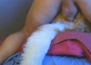 Dude fucks a dog in the ass and it's just savage