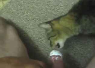 Hard-cocked dude has two cats licking his tip