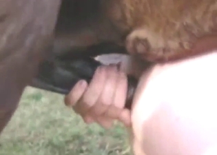 Pony is going to fuck a gay guy's horny asshole