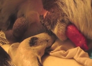 Dane showing off that dick in a blas├й way