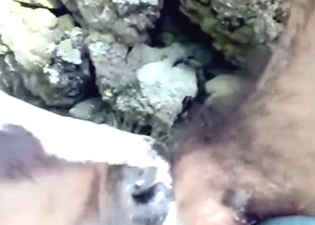 Calf blowjob for a guy with a great-looking dick