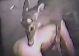 Guy wants deer to fuck him up and make him scream