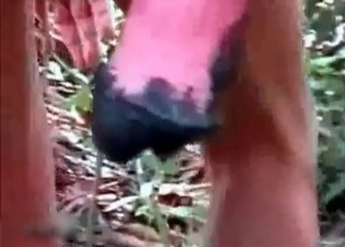 Horse cum looks very juicy and thick