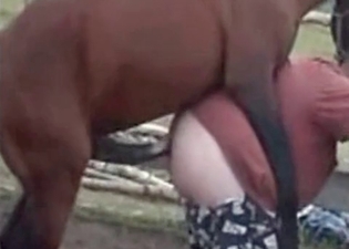 Stallion has a very nice and big bottom