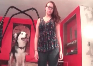 Husky and sexy babe in bestiality